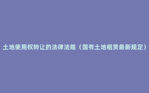 土地使用权转让的法律法规（国有土地租赁最新规定）