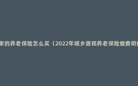 国家的养老保险怎么买（2022年城乡居民养老保险缴费明细）