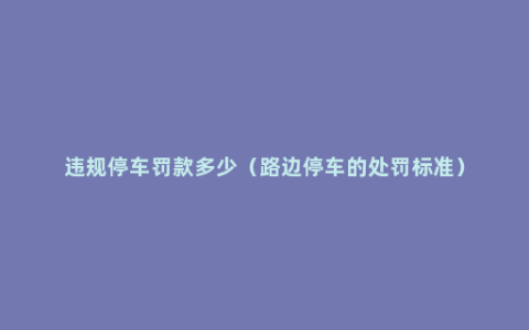 违规停车罚款多少（路边停车的处罚标准）