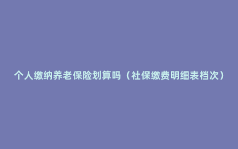 个人缴纳养老保险划算吗（社保缴费明细表档次）