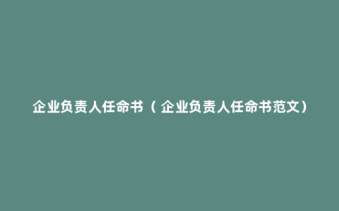 企业负责人任命书（ 企业负责人任命书范文）