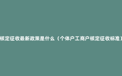 核定征收最新政策是什么（个体户工商户核定征收标准）