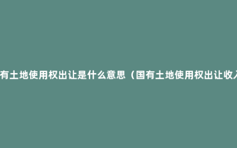 国有土地使用权出让是什么意思（国有土地使用权出让收入）