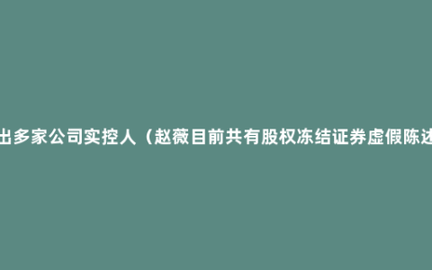 赵薇接连退出多家公司实控人（赵薇目前共有股权冻结证券虚假陈述责任纠纷等多项风险）