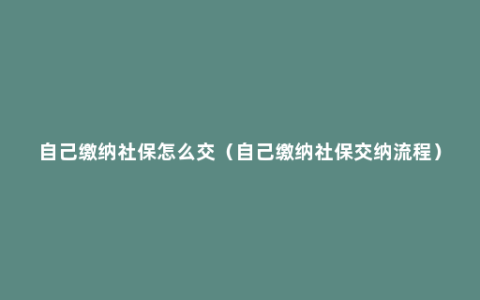 自己缴纳社保怎么交（自己缴纳社保交纳流程）