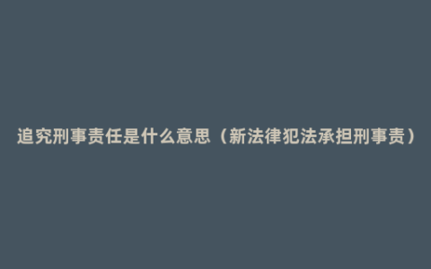 追究刑事责任是什么意思（新法律犯法承担刑事责）