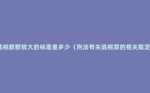 逃税数额较大的标准是多少（刑法有关逃税罪的相关规定）