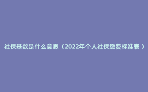 社保基数是什么意思（2022年个人社保缴费标准表 ）