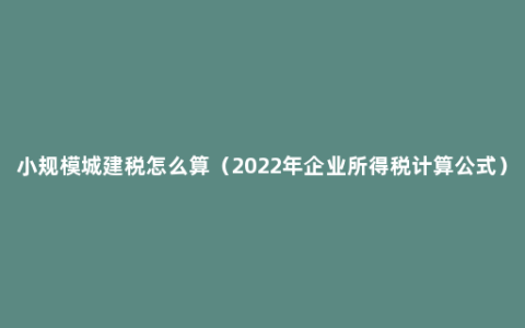 小规模城建税怎么算（2022年企业所得税计算公式）