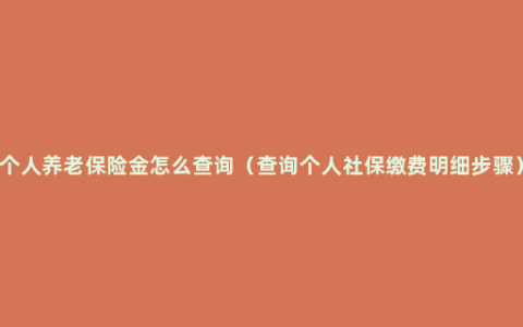 个人养老保险金怎么查询（查询个人社保缴费明细步骤）