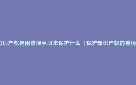 知识产权是用法律手段来保护什么（保护知识产权的途径）