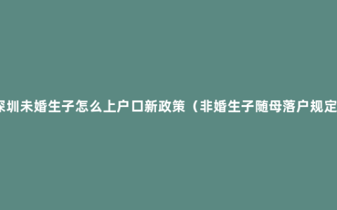 深圳未婚生子怎么上户口新政策（非婚生子随母落户规定）