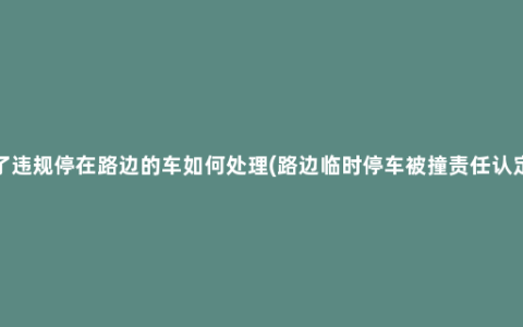 撞了违规停在路边的车如何处理(路边临时停车被撞责任认定)_