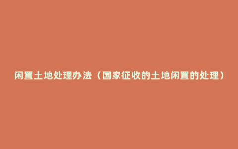 闲置土地处理办法（国家征收的土地闲置的处理）