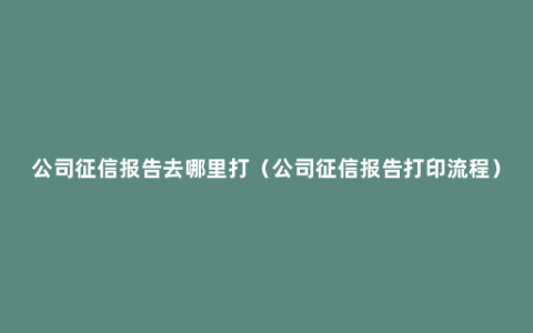 公司征信报告去哪里打（公司征信报告打印流程）