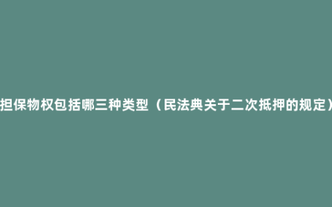 担保物权包括哪三种类型（民法典关于二次抵押的规定）