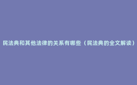 民法典和其他法律的关系有哪些（民法典的全文解读）