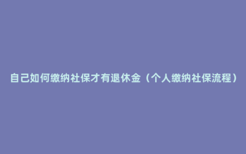 自己如何缴纳社保才有退休金（个人缴纳社保流程）