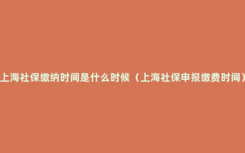 上海社保缴纳时间是什么时候（上海社保申报缴费时间）