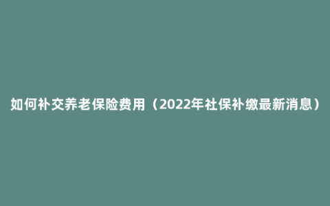 如何补交养老保险费用（2022年社保补缴最新消息）