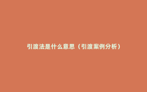 引渡法是什么意思（引渡案例分析）