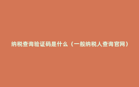 纳税查询验证码是什么（一般纳税人查询官网）