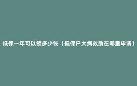 低保一年可以领多少钱（低保户大病救助在哪里申请）