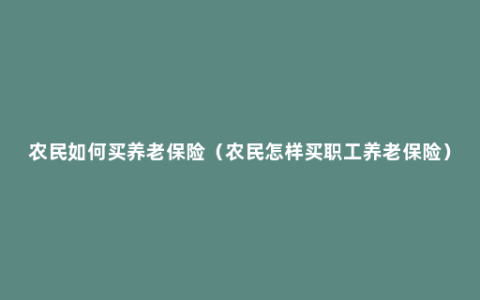 农民如何买养老保险（农民怎样买职工养老保险）