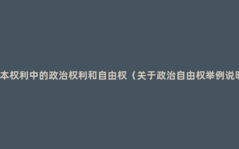 基本权利中的政治权利和自由权（关于政治自由权举例说明）