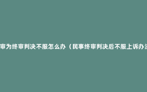 一审为终审判决不服怎么办（民事终审判决后不服上诉办法）