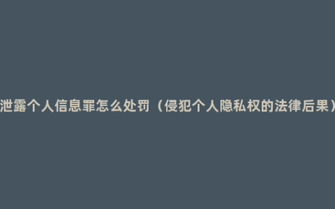 泄露个人信息罪怎么处罚（侵犯个人隐私权的法律后果）