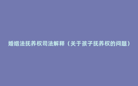 婚姻法抚养权司法解释（关于孩子抚养权的问题）