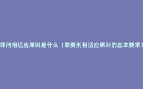 罪刑相适应原则是什么（罪责刑相适应原则的基本要求）