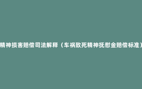 精神损害赔偿司法解释（车祸致死精神抚慰金赔偿标准）