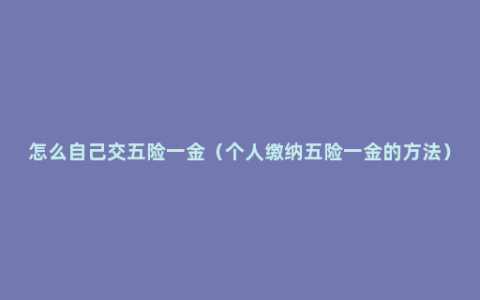 怎么自己交五险一金（个人缴纳五险一金的方法）