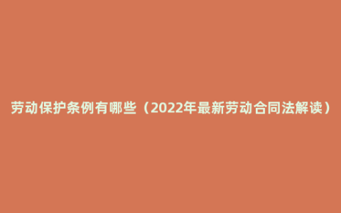 劳动保护条例有哪些（2022年最新劳动合同法解读）