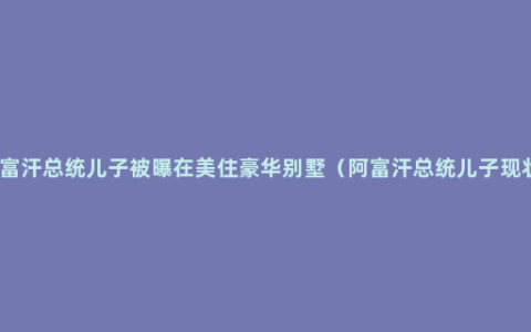 阿富汗总统儿子被曝在美住豪华别墅（阿富汗总统儿子现状）