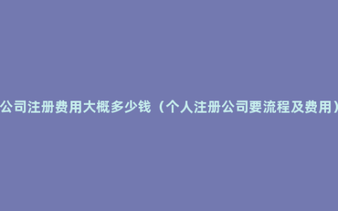 公司注册费用大概多少钱（个人注册公司要流程及费用）