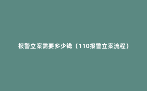 报警立案需要多少钱（110报警立案流程）