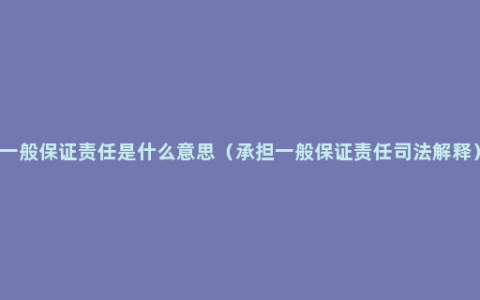 一般保证责任是什么意思（承担一般保证责任司法解释）