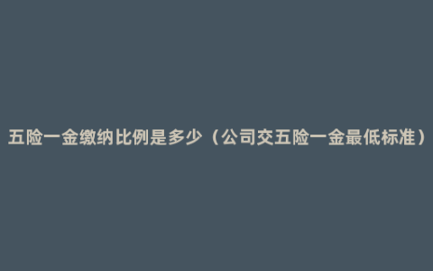 五险一金缴纳比例是多少（公司交五险一金最低标准）