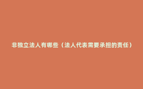 非独立法人有哪些（法人代表需要承担的责任）