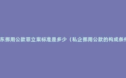 股东挪用公款罪立案标准是多少（私企挪用公款的构成条件）