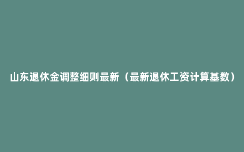 山东退休金调整细则最新（最新退休工资计算基数）