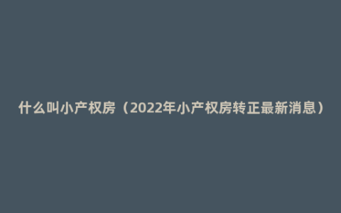 什么叫小产权房（2022年小产权房转正最新消息）