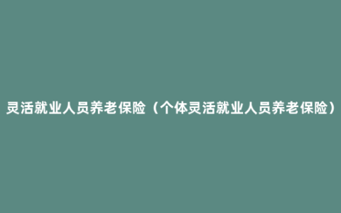 灵活就业人员养老保险（个体灵活就业人员养老保险）