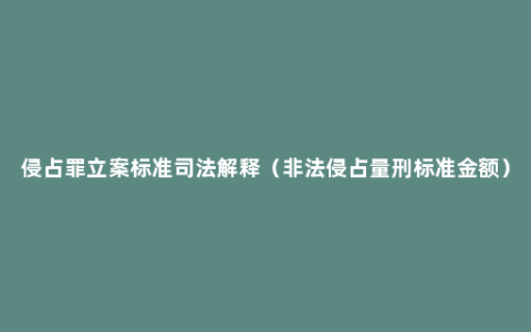 侵占罪立案标准司法解释（非法侵占量刑标准金额）