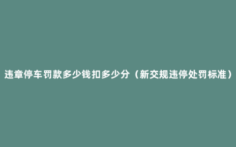 违章停车罚款多少钱扣多少分（新交规违停处罚标准）