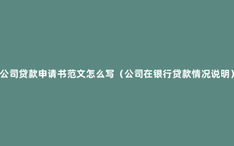 公司贷款申请书范文怎么写（公司在银行贷款情况说明）