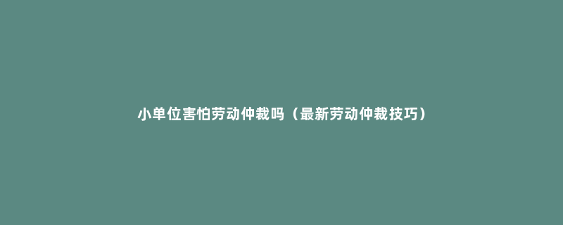 小单位害怕劳动仲裁吗（最新劳动仲裁技巧）